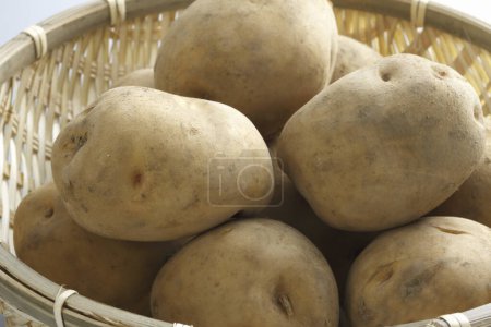 Photo for Fresh organic potatoes, close up view - Royalty Free Image
