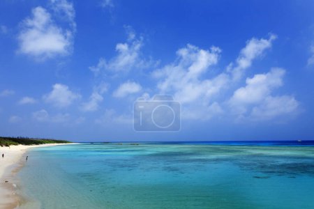 Téléchargez les photos : Belle plage tropicale avec ciel bleu et sable - en image libre de droit