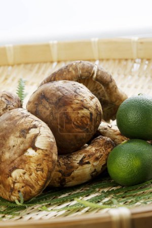 Photo for Fresh  matsutake mushrooms and green limes, close up view - Royalty Free Image