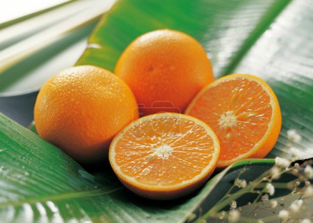 Téléchargez les photos : Vue rapprochée des oranges juteuses mûres fraîches - en image libre de droit