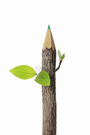 Téléchargez les photos : Crayon avec feuilles d'arbre isolées sur fond blanc - en image libre de droit