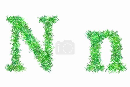 Foto de Letras florales del alfabeto verde sobre fondo blanco, letra N - Imagen libre de derechos