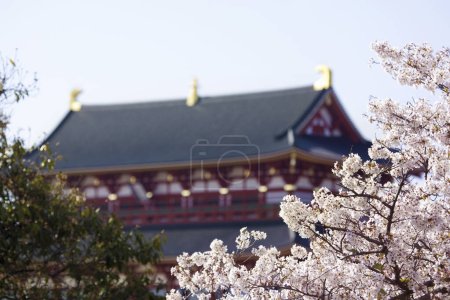 Téléchargez les photos : Belle architecture dans le parc, Nara Heijokyo Daigokuden - en image libre de droit