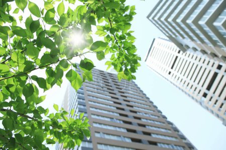 Photo for Green tree branches with modern office buildings, bottom view - Royalty Free Image
