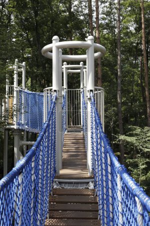 Most wiszący w parku