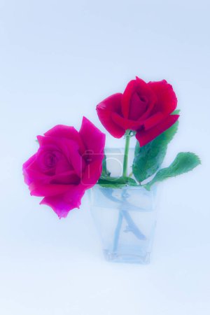 Foto de Ramo de hermosas flores tiernas en jarrón, vista de cerca - Imagen libre de derechos