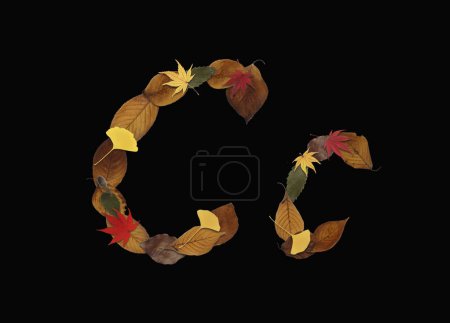 Téléchargez les photos : Alphabet composé de feuilles d'automne isolées sur fond noir. Lettre C - en image libre de droit
