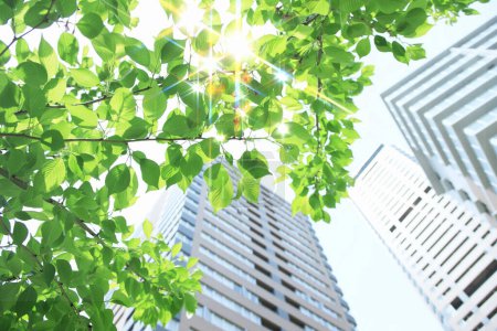 Téléchargez les photos : Feuilles vertes et gratte-ciel avec lumière du soleil - en image libre de droit