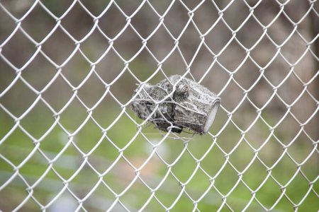 Photo for Close up of a metal mesh fence - Royalty Free Image