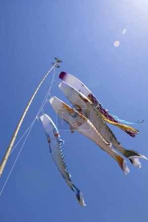Photo for Air Fish Windsocks in the Sky, Japan - Royalty Free Image