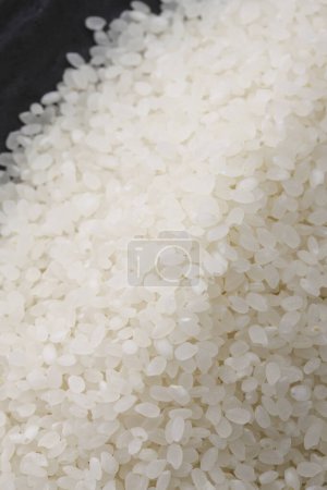Téléchargez les photos : Gros plan du tas de riz frais, vue de dessus - en image libre de droit