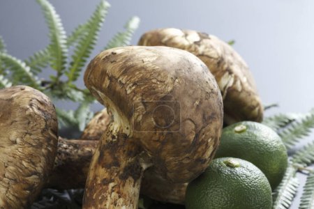 champignons matsutake frais et limes vertes, vue rapprochée