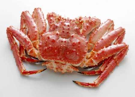 Téléchargez les photos : Crabe royal rouge isolé sur fond blanc - en image libre de droit