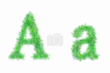 Foto de Letras florales del alfabeto verde sobre fondo blanco, letra A - Imagen libre de derechos