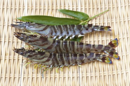Téléchargez les photos : Bouquet de crevettes sur une table avec des feuilles sur le fond, gros plan - en image libre de droit