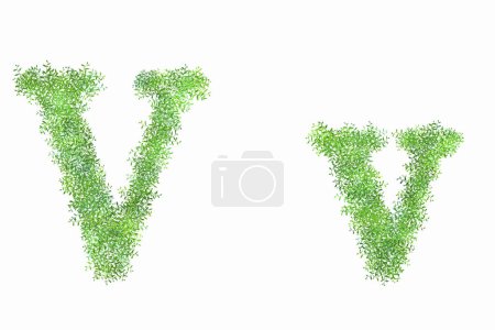 Foto de Letras florales del alfabeto verde sobre fondo blanco, letra V - Imagen libre de derechos