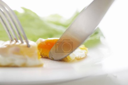 Photo for Fresh fried egg close up background view - Royalty Free Image