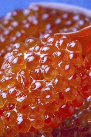 Photo for Red caviar close up background - Royalty Free Image