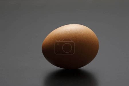 Téléchargez les photos : Vue rapprochée de l "œuf de poulet bio frais - en image libre de droit