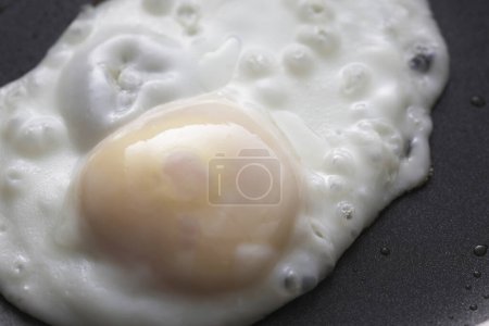 Foto de Huevo frito fresco cerrar vista de fondo - Imagen libre de derechos