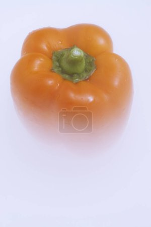 Photo for Pepper vegetable on white background, close up - Royalty Free Image