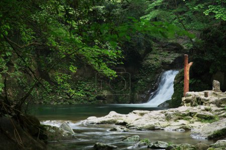 Téléchargez les photos : Une cascade dans une forêt avec des rochers et des arbres - en image libre de droit