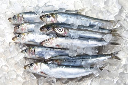 Photo for Fresh fish on ice in market - Royalty Free Image