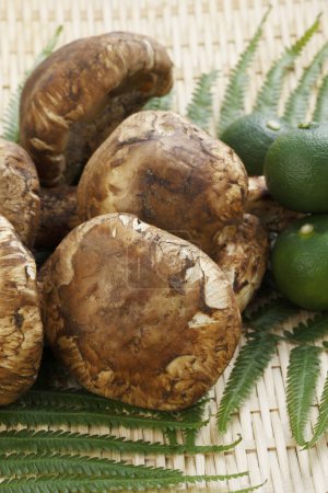 Téléchargez les photos : Champignons matsutake frais et limes vertes, vue rapprochée - en image libre de droit