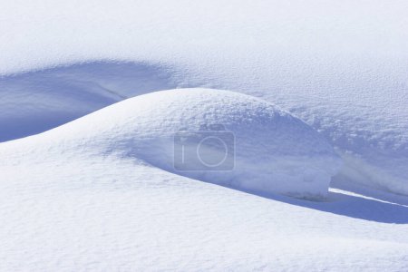 Téléchargez les photos : Paysage hivernal avec neige - en image libre de droit