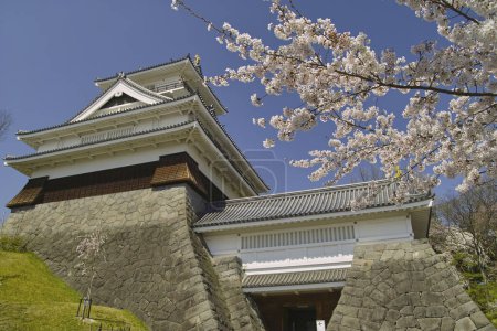 Téléchargez les photos : Vue de l'architecture japonaise au Japon - en image libre de droit