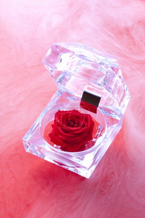 Foto de Rosa roja y un vaso de hielo sobre un fondo rojo - Imagen libre de derechos