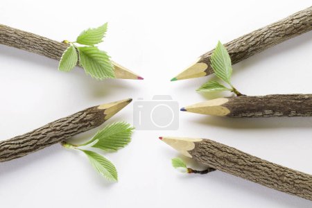 Téléchargez les photos : Crayons avec des feuilles d'arbre isolées sur fond blanc - en image libre de droit