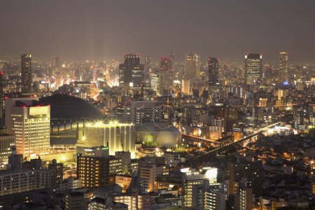 Photo for Tokyo skyline at night, aerial view - Royalty Free Image