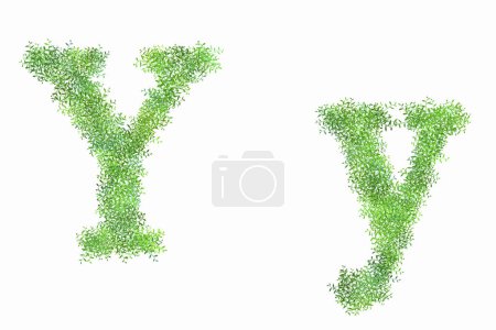 Téléchargez les photos : Alphabet vert floral lettres sur fond blanc, lettre Y - en image libre de droit