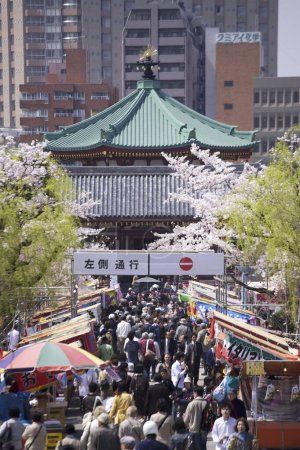 Téléchargez les photos : Le temps de la fleur de cerisier au Japon - en image libre de droit