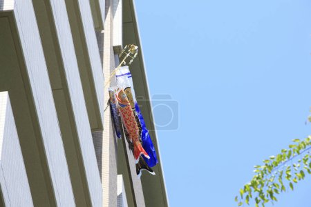 Téléchargez les photos : Vue rapprochée de koinobori japonais ou cerfs-volants de carpe en plein air - en image libre de droit