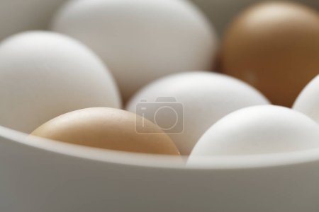 Téléchargez les photos : Vue rapprochée des œufs de poulet frais biologiques - en image libre de droit