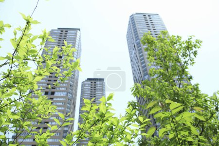 Foto de Ramas de árboles verdes con modernos edificios de oficinas, vista inferior - Imagen libre de derechos