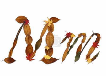 Alphabet made of autumn leaves isolated on white background. Letter M
