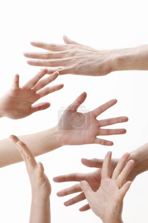 Téléchargez les photos : Groupe de mains geste sur fond blanc - en image libre de droit
