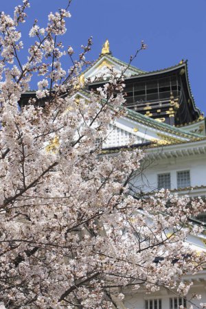 Téléchargez les photos : Beau château d'Osaka avec des fleurs de cerisier au Japon - en image libre de droit