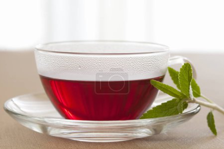 Photo for Hot herbal tea inside transparent cup - Royalty Free Image
