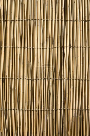 Téléchargez les photos : Gros plan du fond de texture de bambou - en image libre de droit