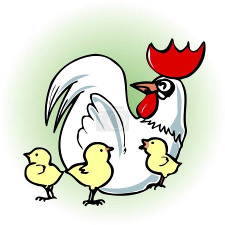 Téléchargez les photos : Famille de poulet, illustration, vecteur - en image libre de droit