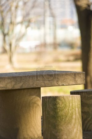 Photo for A closeup shot of a wooden bench with a blurred background - Royalty Free Image
