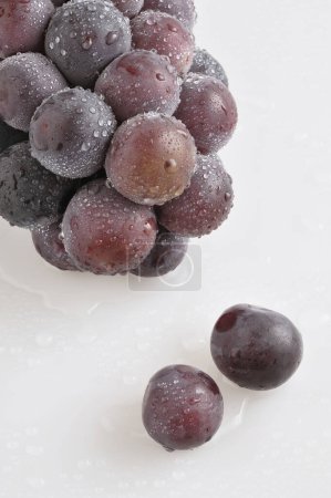 Téléchargez les photos : Vue rapprochée des raisins frais mûrs avec des gouttes d'eau sur fond blanc - en image libre de droit