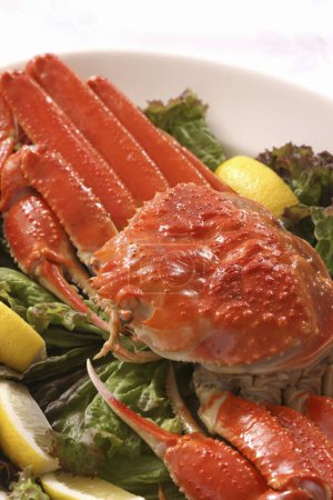 Téléchargez les photos : Crabe frais et délicieux - en image libre de droit