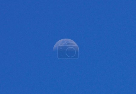 Photo for Moon in the sky - Royalty Free Image