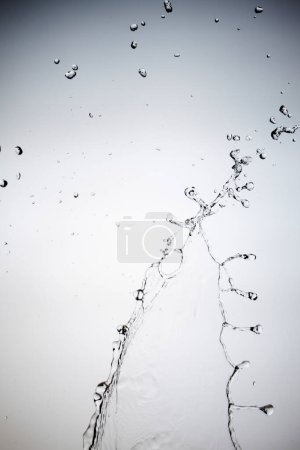 Foto de Chorro de agua sobre fondo blanco, salpicaduras y gotas - Imagen libre de derechos
