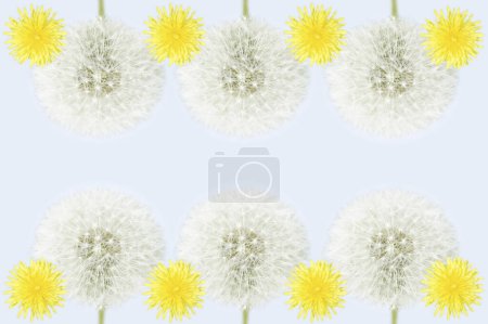 Photo for Floral background with summer flowers - Royalty Free Image